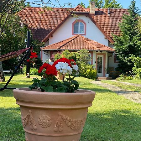 Vila Evio Třeboň Exterior foto