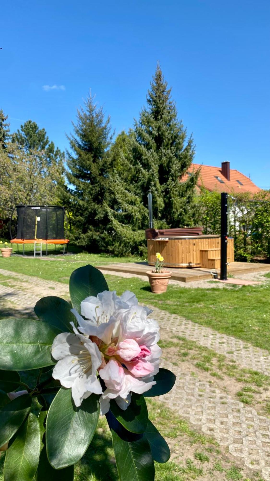 Vila Evio Třeboň Exterior foto